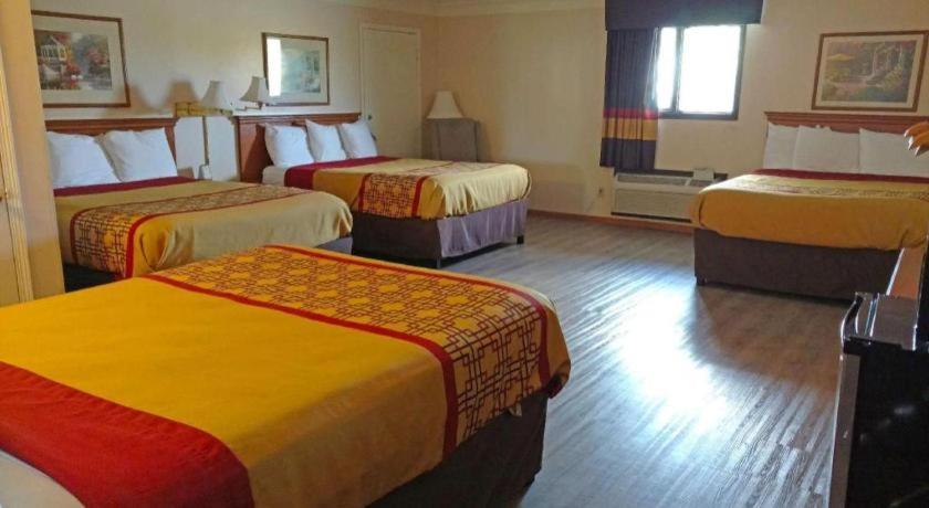 Americas Best Value Inn & Suites Thief River Falls Eksteriør billede